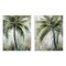 Stupell Industries Palm Trees Impressions 2pc Wall Plaque Art Set Design by Nan